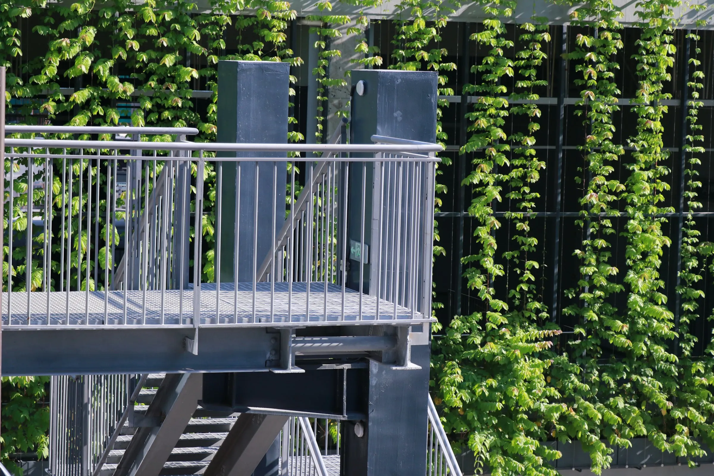 Stahltreppe und Metallgeländer vor einer begrünten Fassade